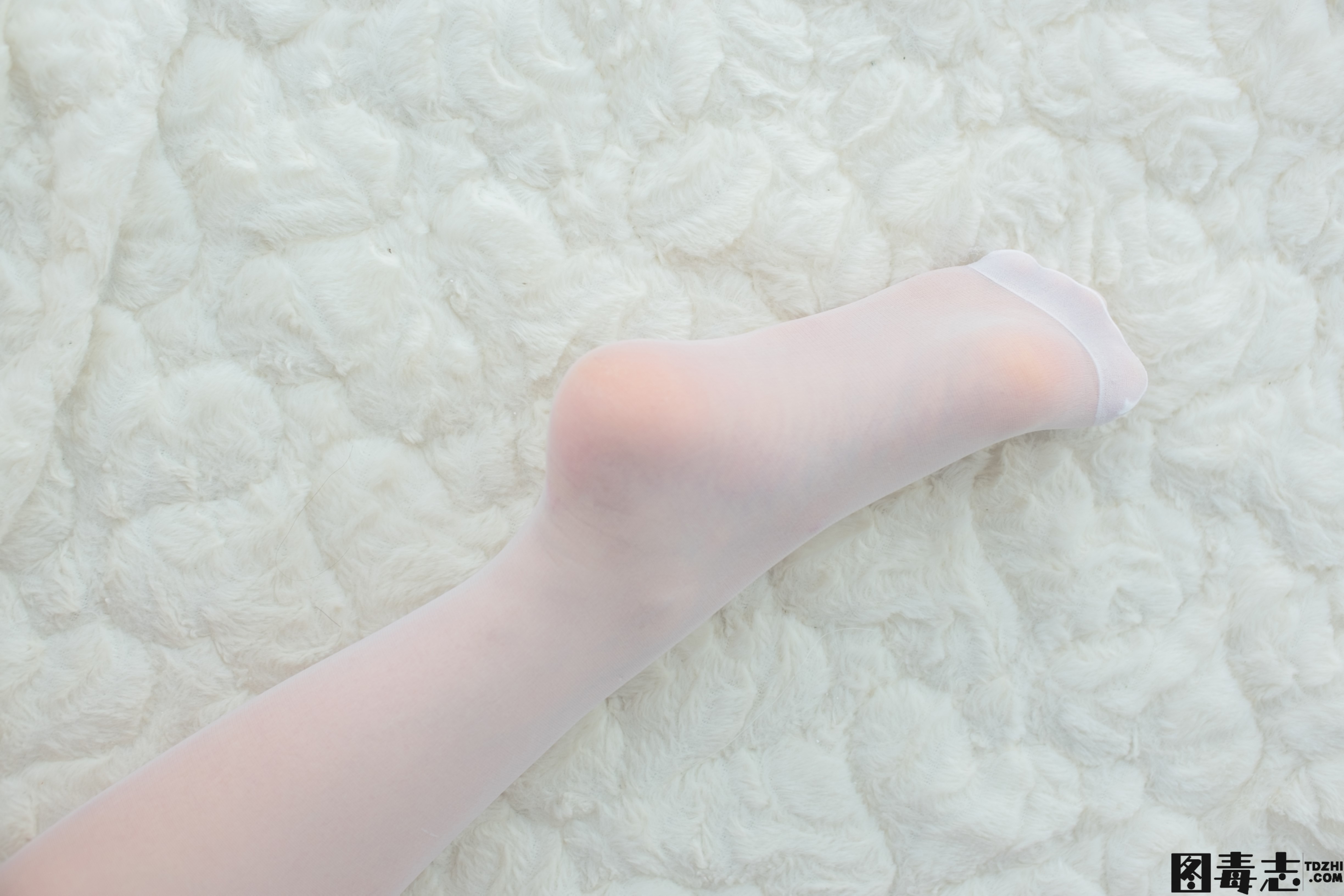 [森萝财团] SSR-003 少女白色遐想