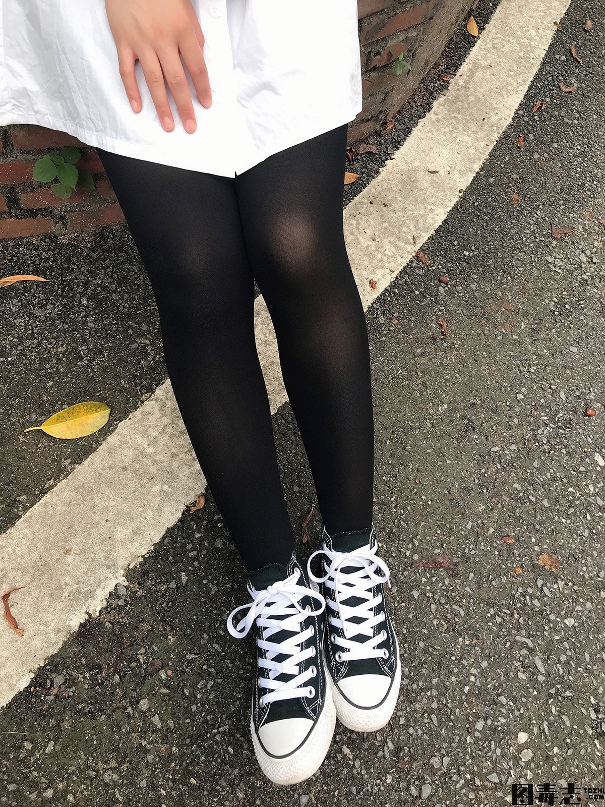 [最爱帆布鞋] 055