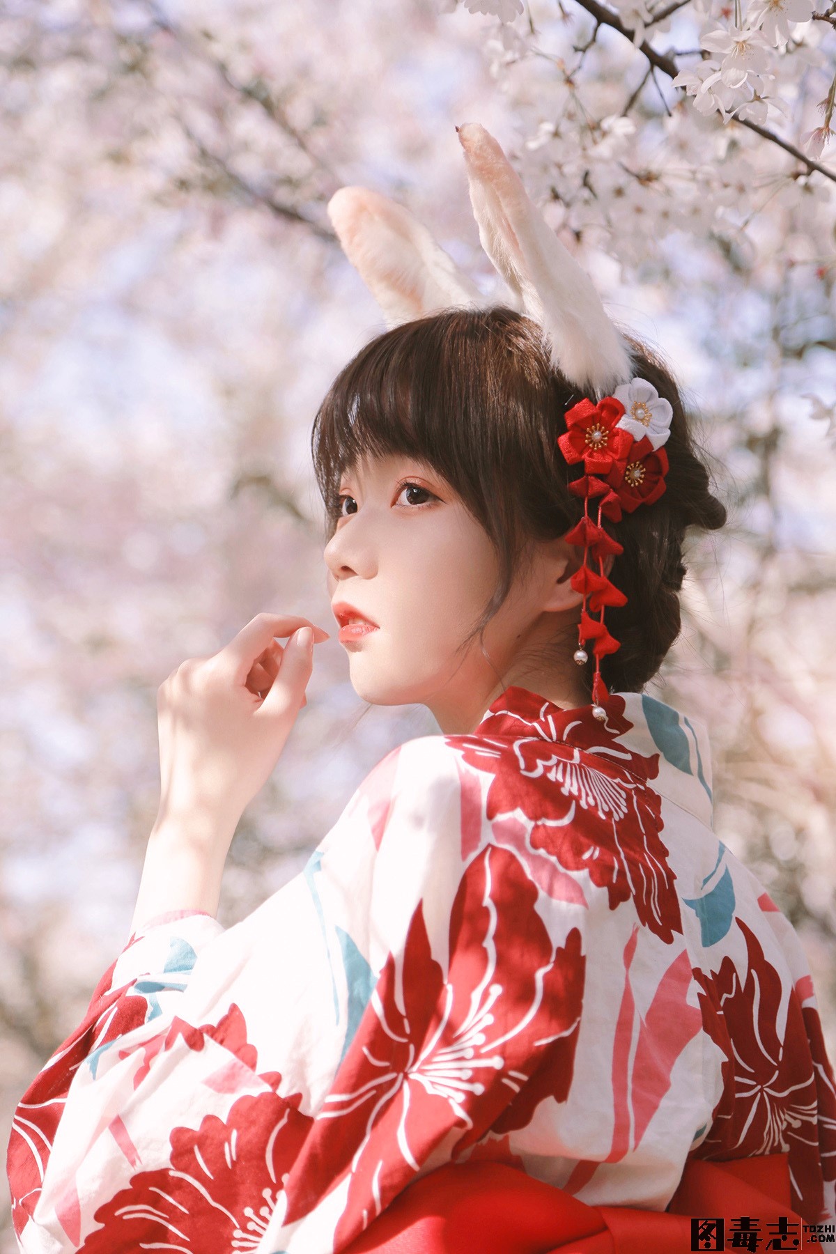 [Fushii_海堂] NO.017 樱花兔兔