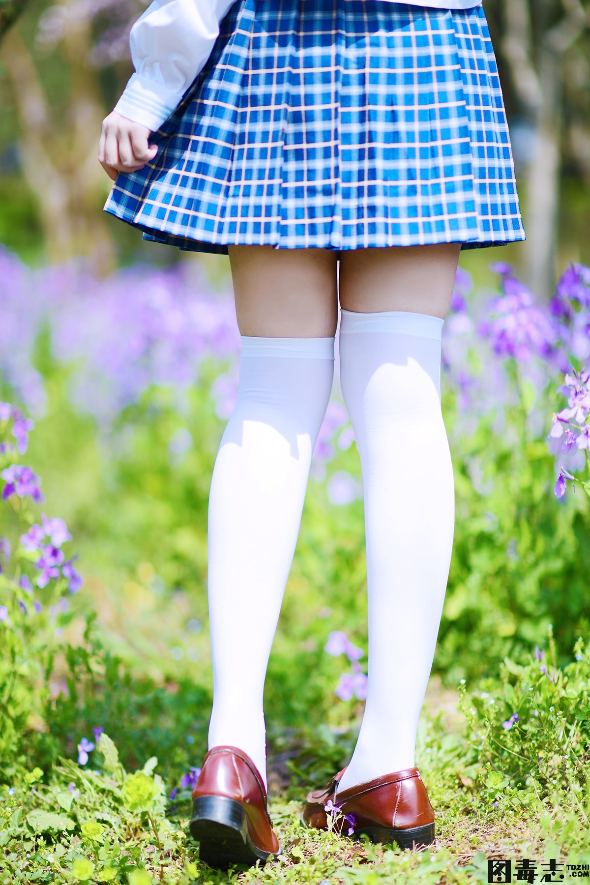 [Fushii_海堂] NO.009 樱花树下