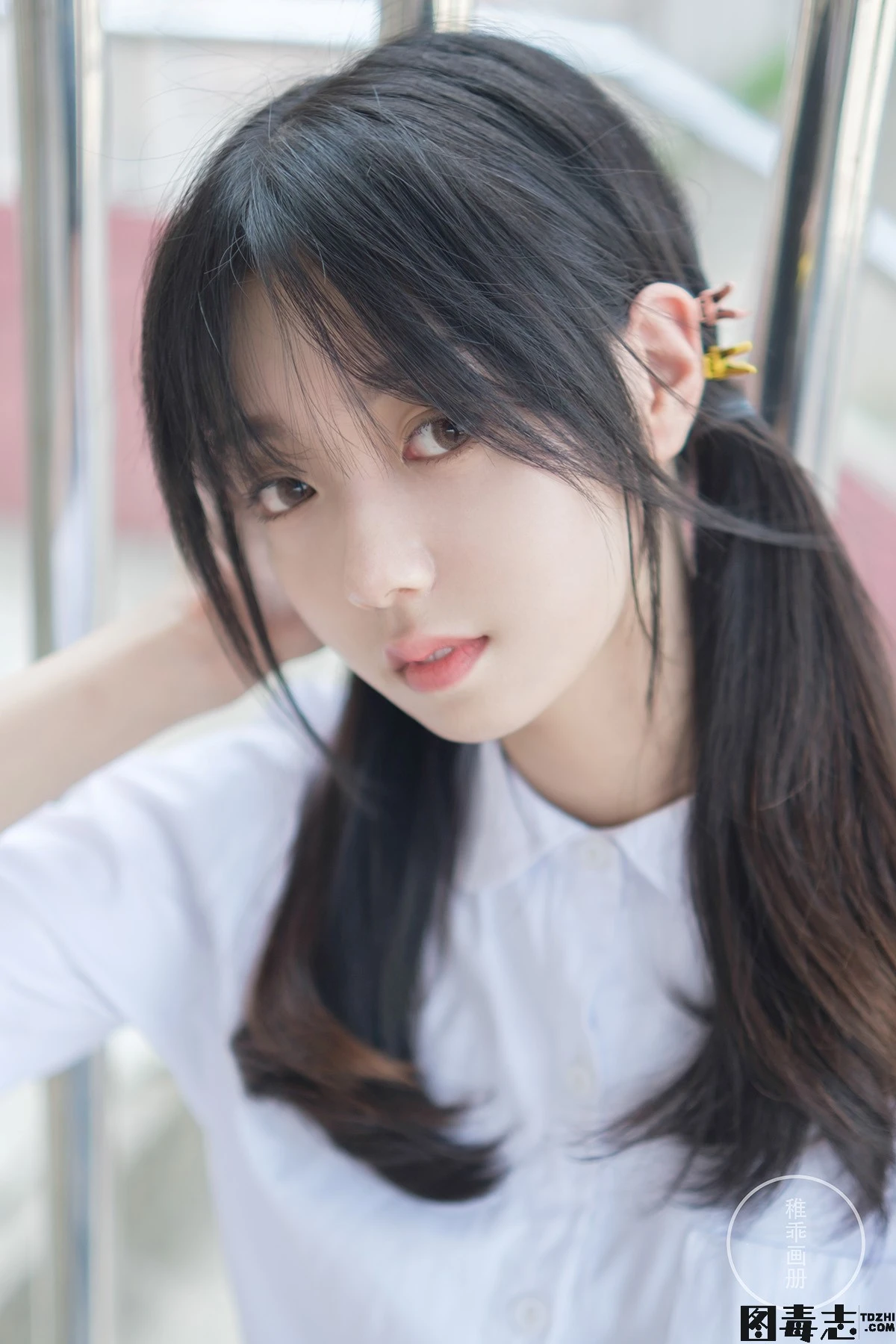 [柴系小乖(稚乖画册)] 新年福利