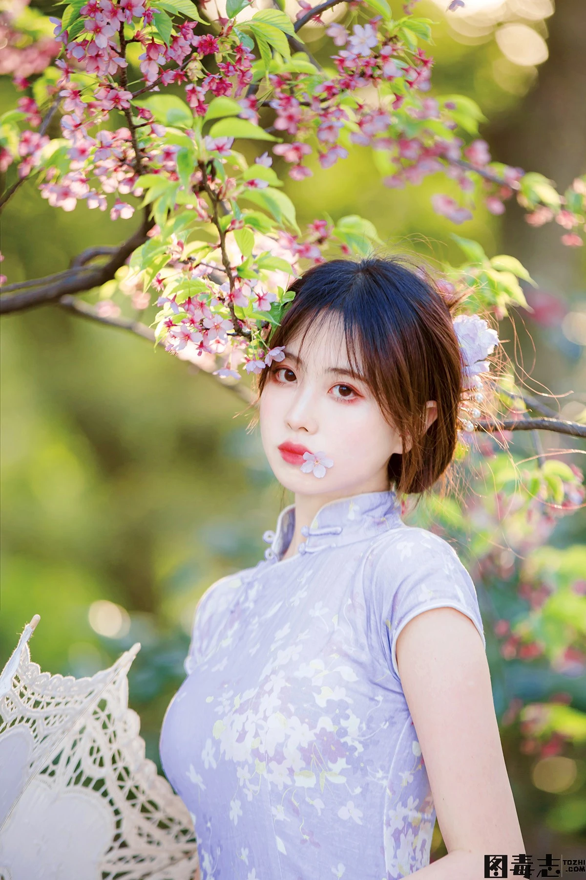 [念雪ww] NO.22 旗袍