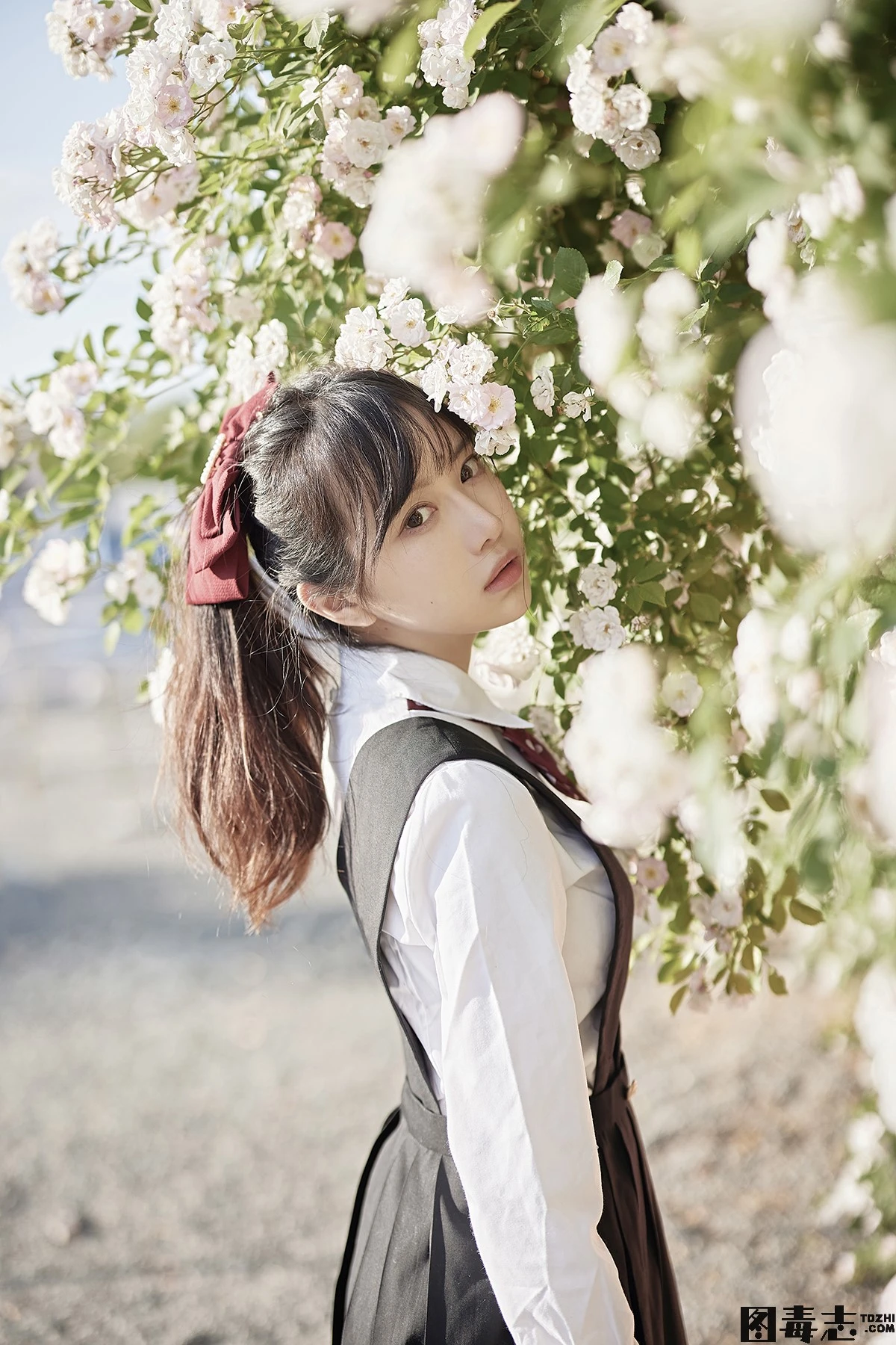 [Shika小鹿鹿] NO.75 蔷薇JK